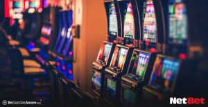 toppg - Login Fácil Bet